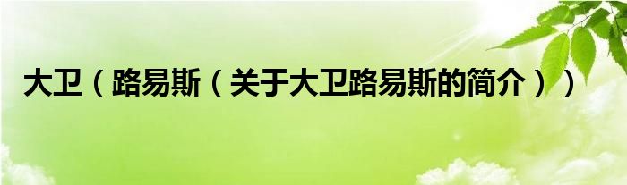 大衛(wèi)（路易斯（關(guān)于大衛(wèi)路易斯的簡(jiǎn)介））