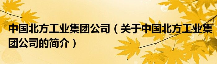 中國北方工業(yè)集團公司（關于中國北方工業(yè)集團公司的簡介）