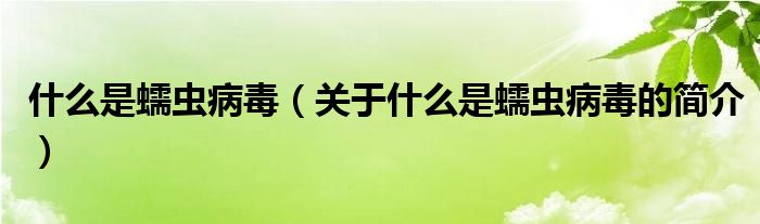 什么是蠕蟲病毒（關(guān)于什么是蠕蟲病毒的簡(jiǎn)介）