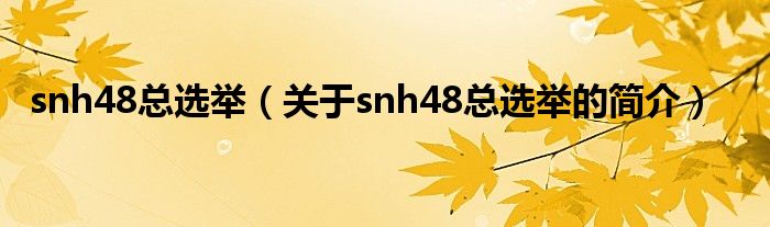 snh48總選舉（關(guān)于snh48總選舉的簡(jiǎn)介）