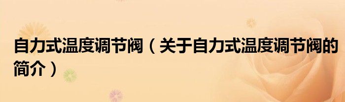 自力式溫度調(diào)節(jié)閥（關(guān)于自力式溫度調(diào)節(jié)閥的簡介）