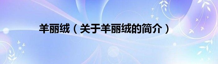 羊麗絨（關(guān)于羊麗絨的簡(jiǎn)介）