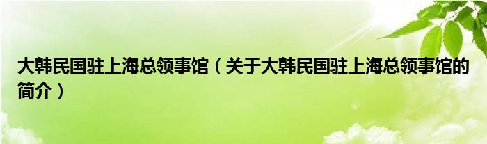 大韓民國(guó)駐上?？傤I(lǐng)事館（關(guān)于大韓民國(guó)駐上?？傤I(lǐng)事館的簡(jiǎn)介）