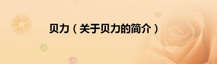 貝力（關(guān)于貝力的簡(jiǎn)介）