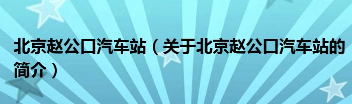 北京趙公口汽車(chē)站（關(guān)于北京趙公口汽車(chē)站的簡(jiǎn)介）