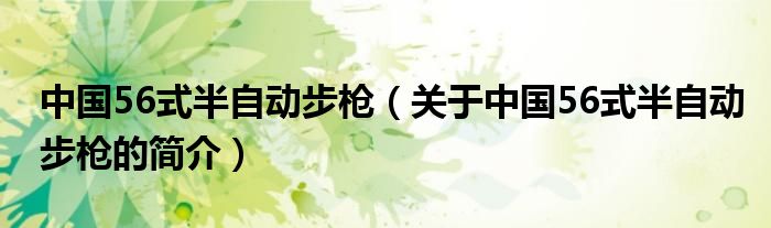 中國56式半自動步槍（關(guān)于中國56式半自動步槍的簡介）