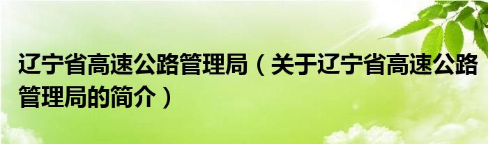 遼寧省高速公路管理局（關(guān)于遼寧省高速公路管理局的簡介）