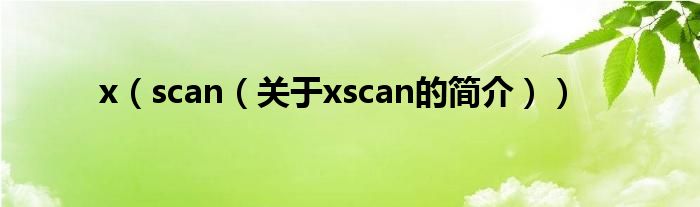 x（scan（關(guān)于xscan的簡(jiǎn)介））