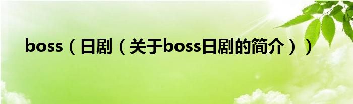 boss（日?。P(guān)于boss日劇的簡介））