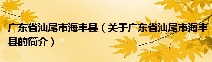 廣東省汕尾市海豐縣（關(guān)于廣東省汕尾市海豐縣的簡介）