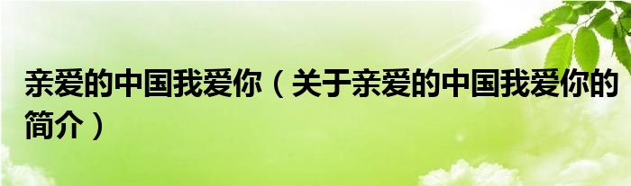 親愛的中國(guó)我愛你（關(guān)于親愛的中國(guó)我愛你的簡(jiǎn)介）