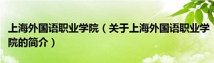 上海外國語職業(yè)學院（關于上海外國語職業(yè)學院的簡介）