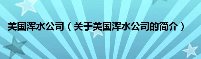 美國渾水公司（關(guān)于美國渾水公司的簡(jiǎn)介）