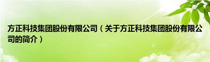 方正科技集團股份有限公司（關于方正科技集團股份有限公司的簡介）