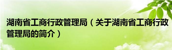 湖南省工商行政管理局（關(guān)于湖南省工商行政管理局的簡介）