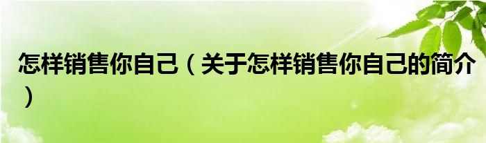 怎樣銷(xiāo)售你自己（關(guān)于怎樣銷(xiāo)售你自己的簡(jiǎn)介）