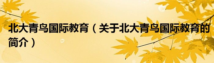 北大青鳥(niǎo)國(guó)際教育（關(guān)于北大青鳥(niǎo)國(guó)際教育的簡(jiǎn)介）