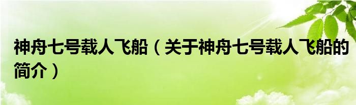 神舟七號載人飛船（關(guān)于神舟七號載人飛船的簡介）