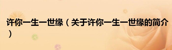 許你一生一世緣（關(guān)于許你一生一世緣的簡介）