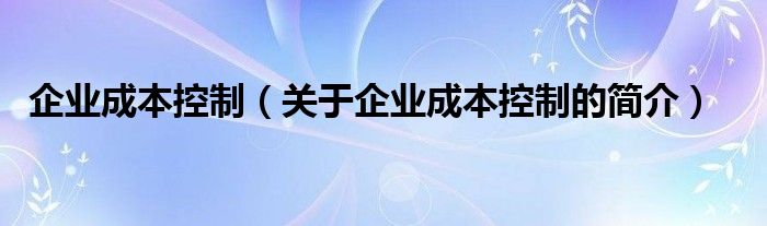 企業(yè)成本控制（關(guān)于企業(yè)成本控制的簡介）