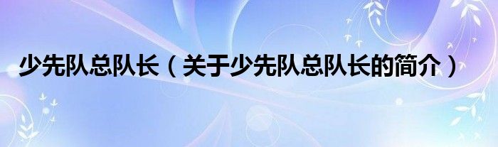 少先隊總隊長（關(guān)于少先隊總隊長的簡介）