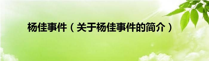 楊佳事件（關于楊佳事件的簡介）