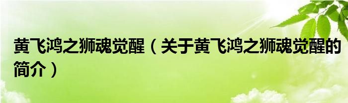 黃飛鴻之獅魂覺醒（關(guān)于黃飛鴻之獅魂覺醒的簡介）