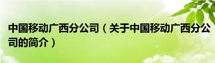 中國(guó)移動(dòng)廣西分公司（關(guān)于中國(guó)移動(dòng)廣西分公司的簡(jiǎn)介）