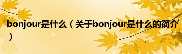 bonjour是什么（關(guān)于bonjour是什么的簡(jiǎn)介）