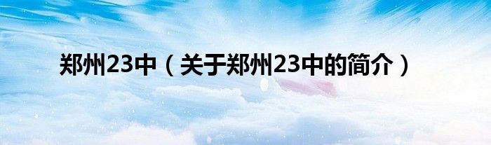 鄭州23中（關于鄭州23中的簡介）