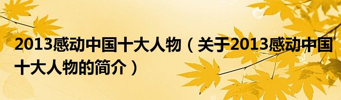 2013感動中國十大人物（關(guān)于2013感動中國十大人物的簡介）