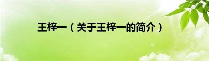 王梓一（關(guān)于王梓一的簡介）