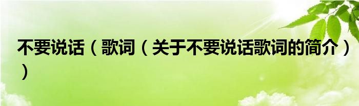 不要說話（歌詞（關于不要說話歌詞的簡介））