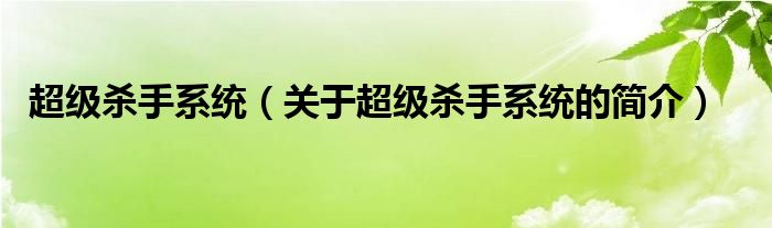 超級(jí)殺手系統(tǒng)（關(guān)于超級(jí)殺手系統(tǒng)的簡(jiǎn)介）