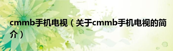 cmmb手機電視（關(guān)于cmmb手機電視的簡介）