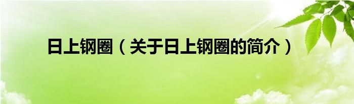 日上鋼圈（關(guān)于日上鋼圈的簡(jiǎn)介）