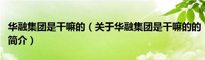 華融集團(tuán)是干嘛的（關(guān)于華融集團(tuán)是干嘛的的簡(jiǎn)介）