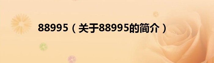 88995（關(guān)于88995的簡(jiǎn)介）