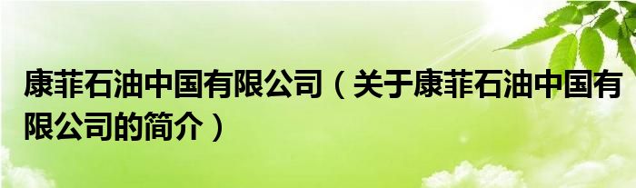 康菲石油中國有限公司（關(guān)于康菲石油中國有限公司的簡(jiǎn)介）