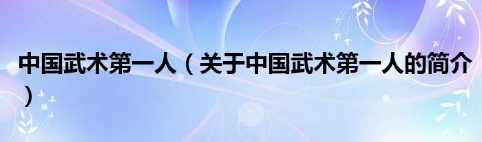 中國武術(shù)第一人（關(guān)于中國武術(shù)第一人的簡介）