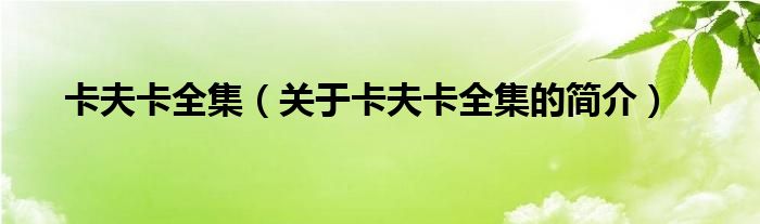 卡夫卡全集（關(guān)于卡夫卡全集的簡(jiǎn)介）