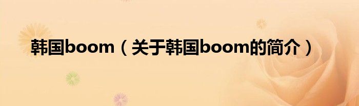 韓國boom（關于韓國boom的簡介）