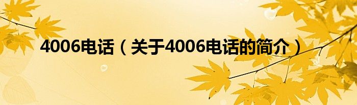 4006電話（關(guān)于4006電話的簡(jiǎn)介）