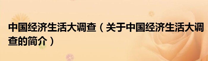 中國經(jīng)濟生活大調(diào)查（關(guān)于中國經(jīng)濟生活大調(diào)查的簡介）