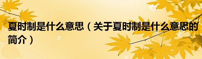 夏時(shí)制是什么意思（關(guān)于夏時(shí)制是什么意思的簡介）