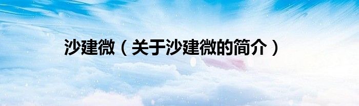 沙建微（關于沙建微的簡介）