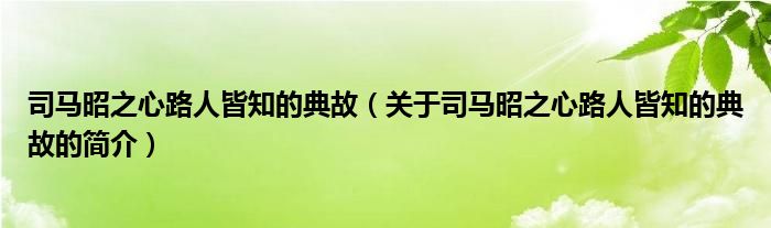 司馬昭之心路人皆知的典故（關(guān)于司馬昭之心路人皆知的典故的簡介）