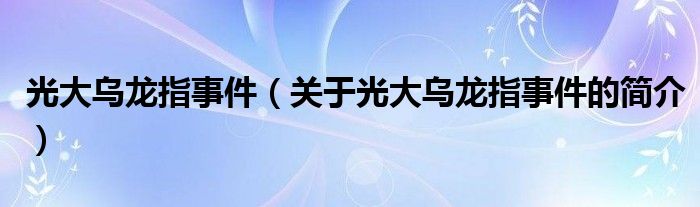 光大烏龍指事件（關(guān)于光大烏龍指事件的簡介）