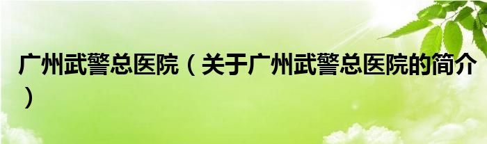 廣州武警總醫(yī)院（關(guān)于廣州武警總醫(yī)院的簡介）