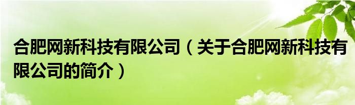 合肥網(wǎng)新科技有限公司（關(guān)于合肥網(wǎng)新科技有限公司的簡(jiǎn)介）